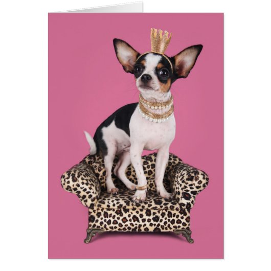 Chihuahua Princess Cards (Front)