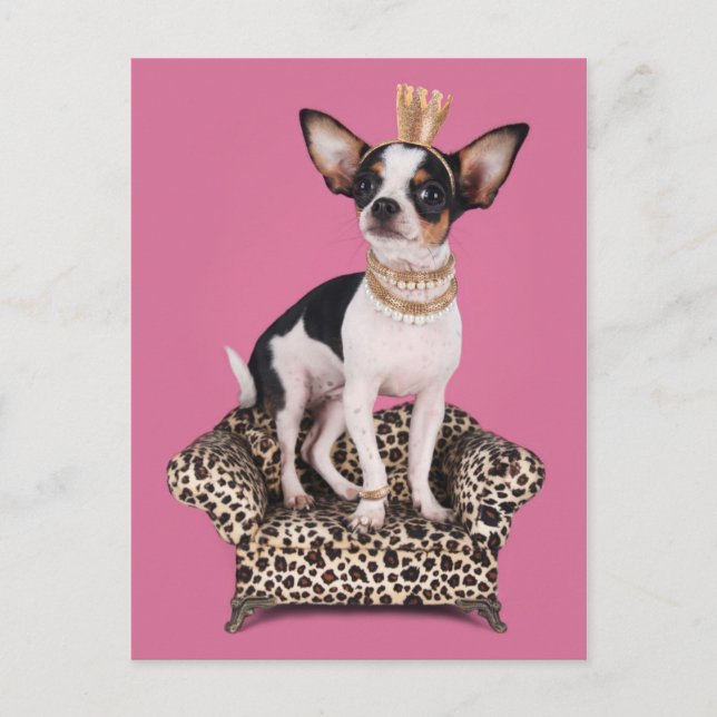 Chihuahua Princess Postcard (Front)