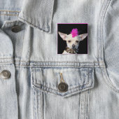 Chihuahua Punk Button (In Situ)
