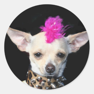 Chihuahua Punk Classic Round Sticker