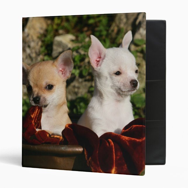 Chihuahua Puppies Binder (Front/Inside)