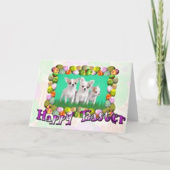 Chihuahua Puppies Easter Card by petsArt at Zazzle