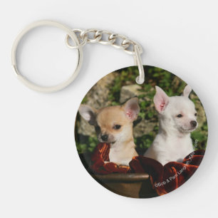 Chihuahua Puppies Keychain