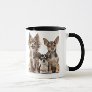 Chihuahua Puppies Mug