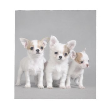 Chihuahua Puppies Notepad by petsArt at Zazzle