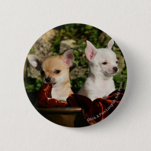 Chihuahua Puppies Pinback Button