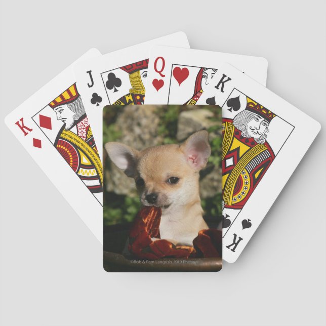 Chihuahua Puppies Poker Cards (Back)