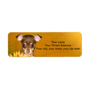 Chihuahua puppy and sunflowers label