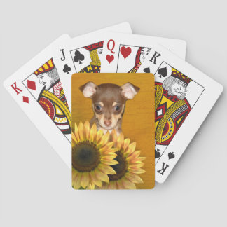 Chihuahua puppy and sunflowers poker cards