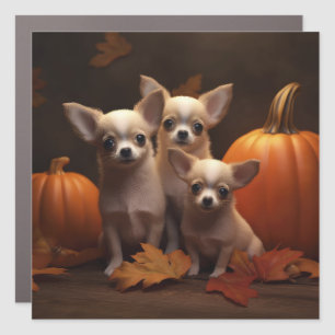 Chihuahua Puppy Autumn Delight Pumpkin  Car Magnet
