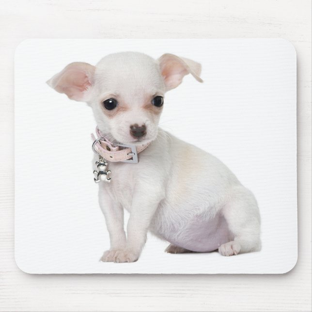 Chihuahua  Puppy Dog Computer Mousepad (Front)