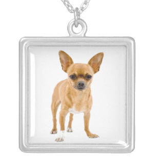 Chihuahua Puppy Dog Pendant Necklace Necklace