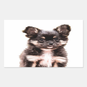 Chihuahua Puppy Dog Rectangular Sticker