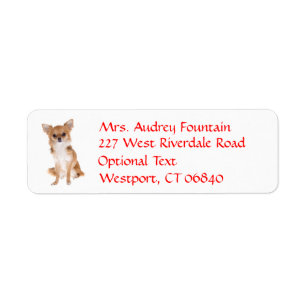 Chihuahua Puppy Dog Return Address Name Label
