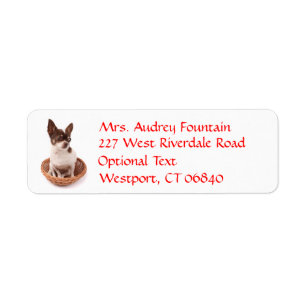 Chihuahua Puppy Dog Return Address Name Label