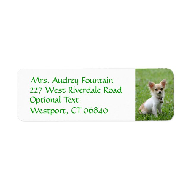 Chihuahua Puppy Dog Return Address Name Label (Front)