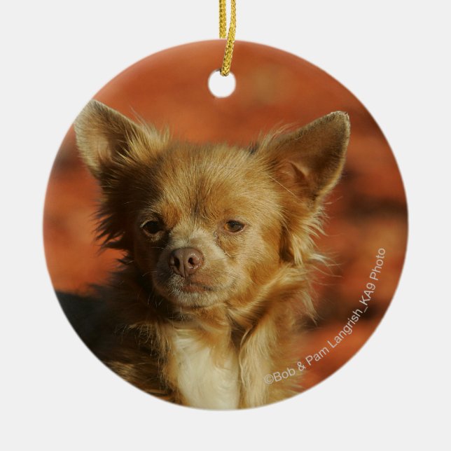 Chihuahua Puppy Headshot Ceramic Ornament (Front)