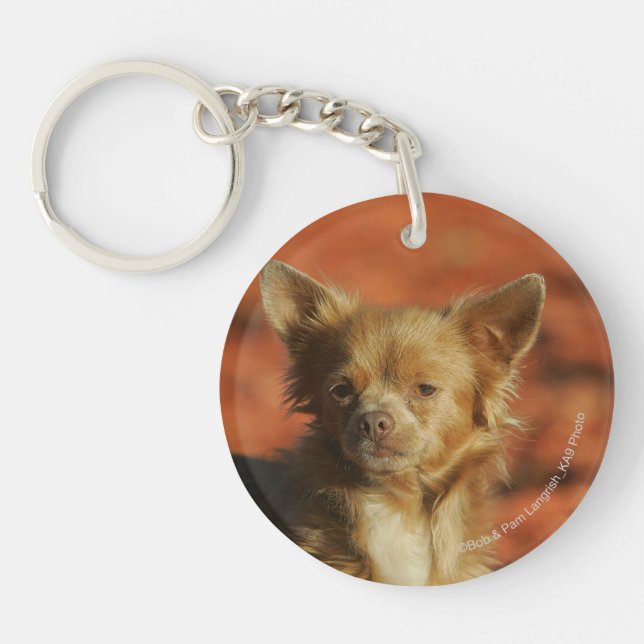 Chihuahua Puppy Headshot Keychain (Front)