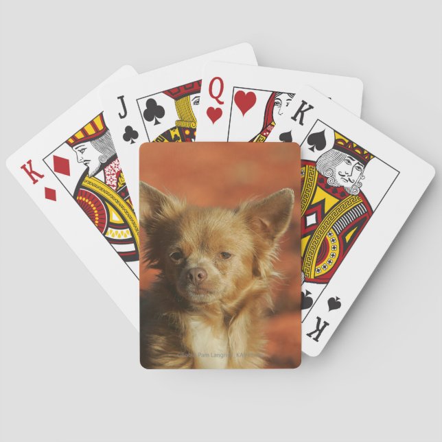 Chihuahua Puppy Headshot Poker Cards (Back)