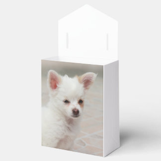 Chihuahua puppy in a garden favor boxes