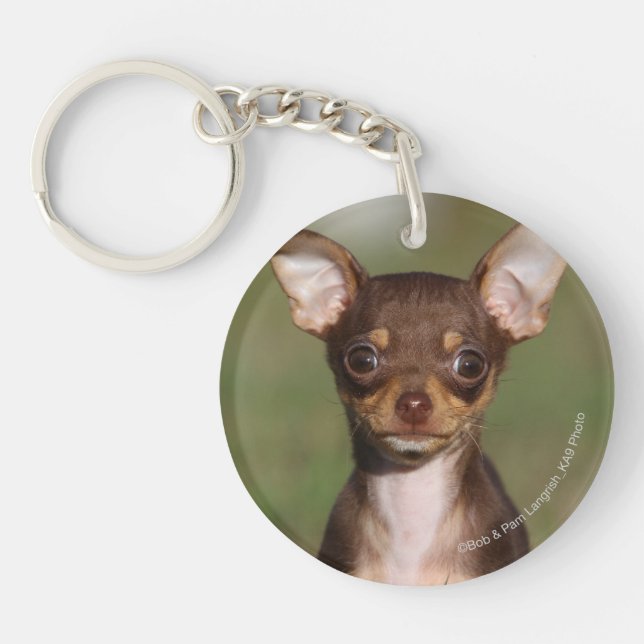 Chihuahua Puppy Looking at Camera Keychain (Front)