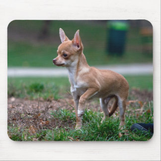 Chihuahua Puppy Mouse Pad