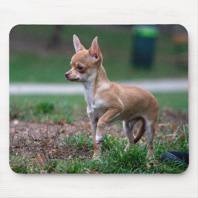 Chihuahua Puppy Mouse Pad (Front)