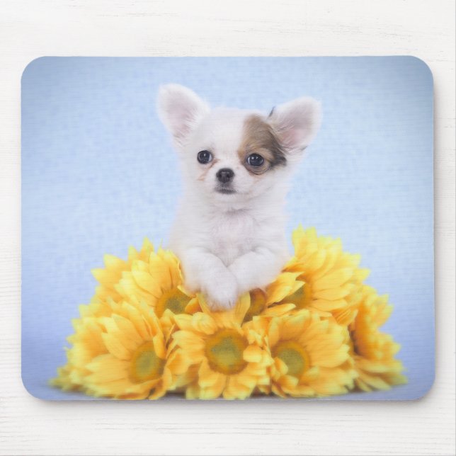 Chihuahua puppy mouse pad (Front)
