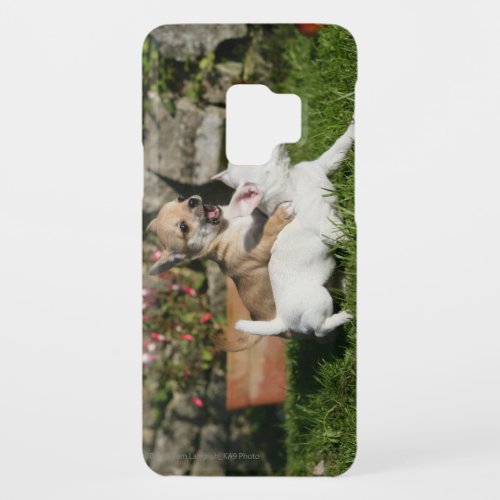 Chihuahua Puppy Playing Case_Mate Samsung Galaxy S9 Case