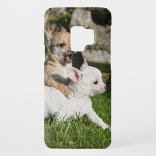 Chihuahua Puppy Playing Case_Mate Samsung Galaxy S9 Case