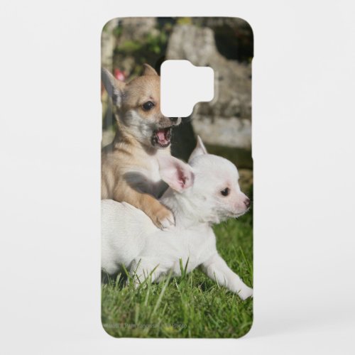 Chihuahua Puppy Playing Case_Mate Samsung Galaxy S9 Case