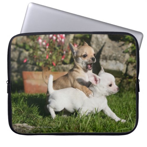 Chihuahua Puppy Playing Laptop Sleeve