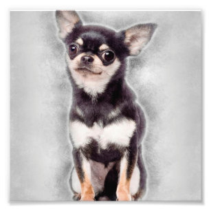 Chihuahua Artwork Dog Gifts For Dog Lovers Dog Picture Chihuahua Home Decor Professional Print of Chihuahua Original Watercolor Painting Chihuahua Art by Whitehouse Art 2 Sizes