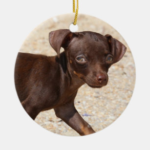 Chihuahua Puppy Walking Ceramic Ornament