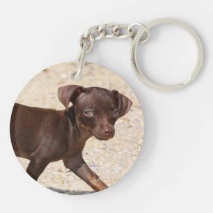 Chihuahua Puppy Walking Keychain