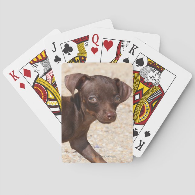 Chihuahua Puppy Walking Poker Cards (Back)