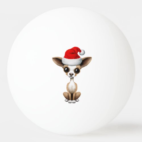 Chihuahua Puppy Wearing a Santa Hat Ping Pong Ball