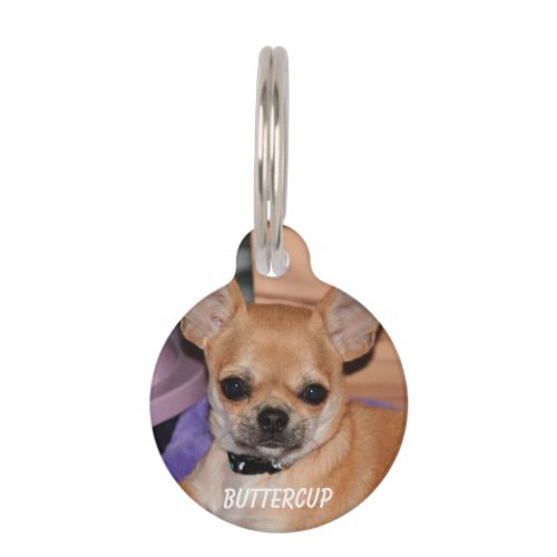 Chihuahua Round Small Pet Tag With Photo