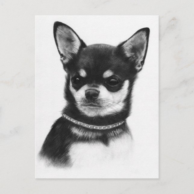 Chihuahua Royalty - Hand Painted Artwork  Postcard (Front)