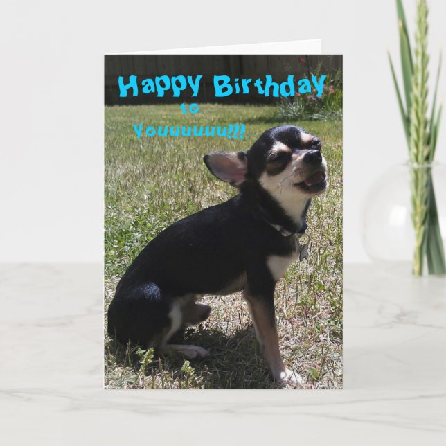 Chihuahua singing Happy Birthday! Card (Front)