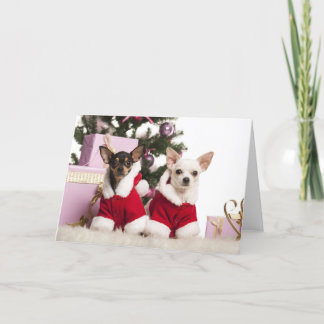 Chihuahua Sitting And Wearing A Christmas Suit Holiday Card