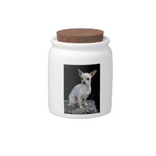 Chihuahua sitting candy jar