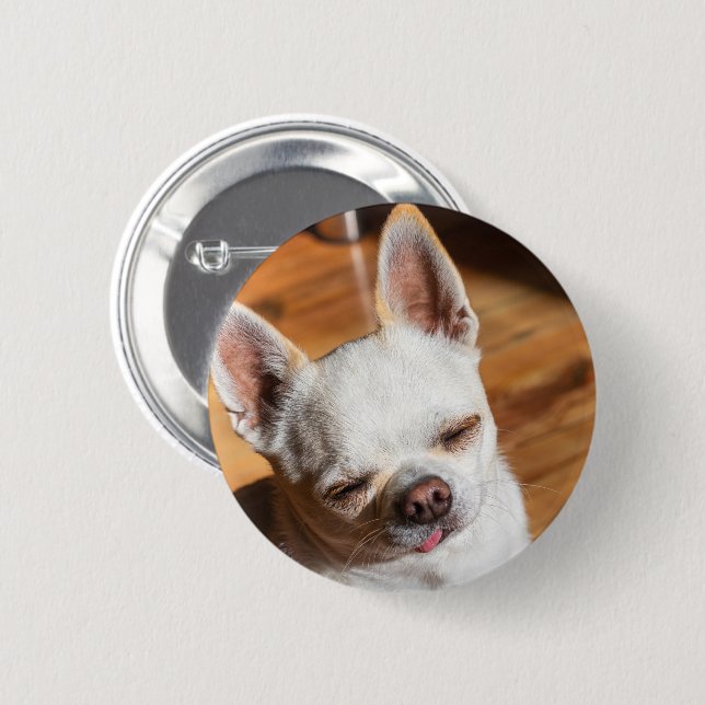 Chihuahua sleepy squint relaxed tongue out Photo Button (Front & Back)