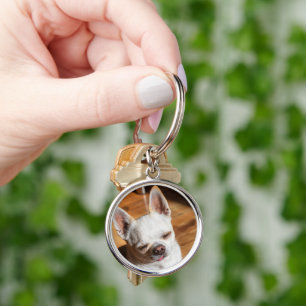 Chihuahua sleepy squint relaxed tongue out Photo Keychain