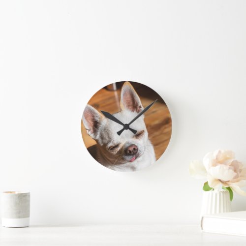 Chihuahua sleepy squint relaxed tongue out Photo Round Clock