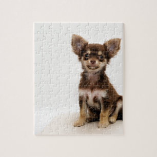 Chihuahua Small Dog Jigsaw Puzzle