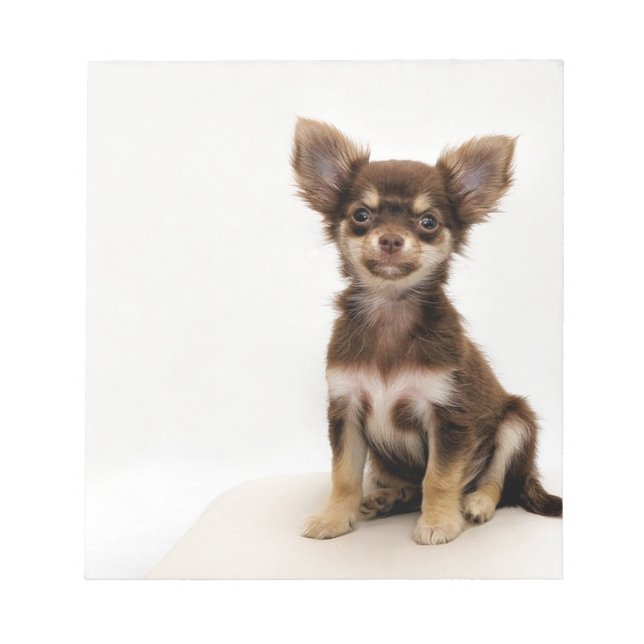 Chihuahua Small Dog Notepad (Front)