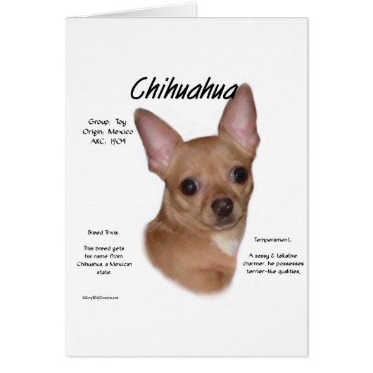 Chihuahua (smooth) History Design Cards (Front)