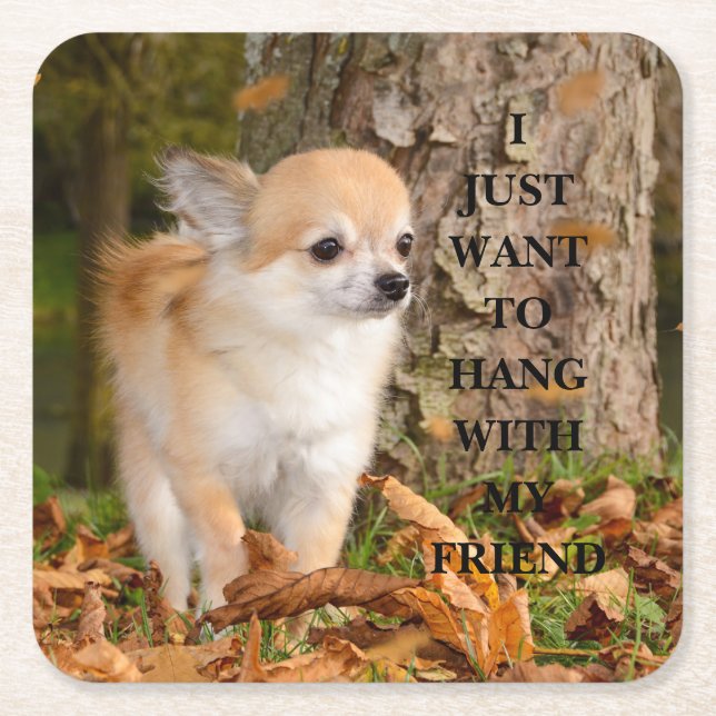 Chihuahua    square paper coaster (Front)