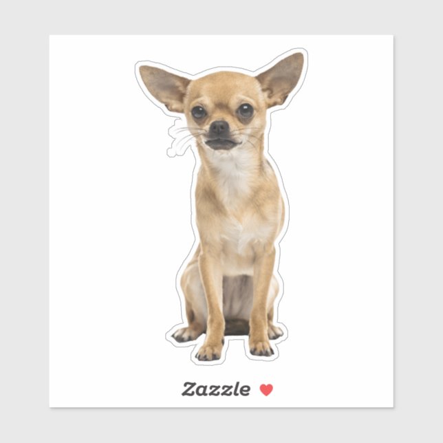 chihuahua sticker (Sheet)